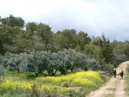 Via-Algarviana